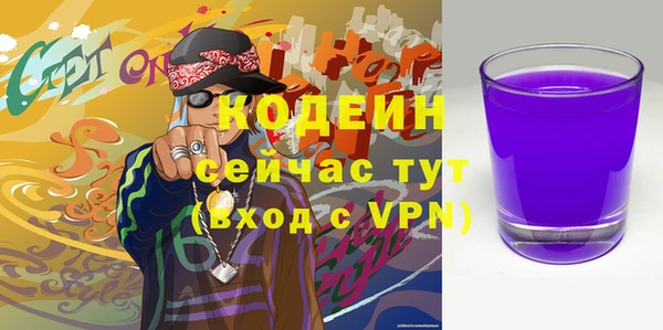 стаф Богородицк