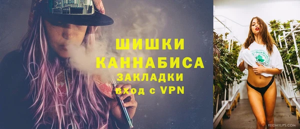 стаф Богородицк